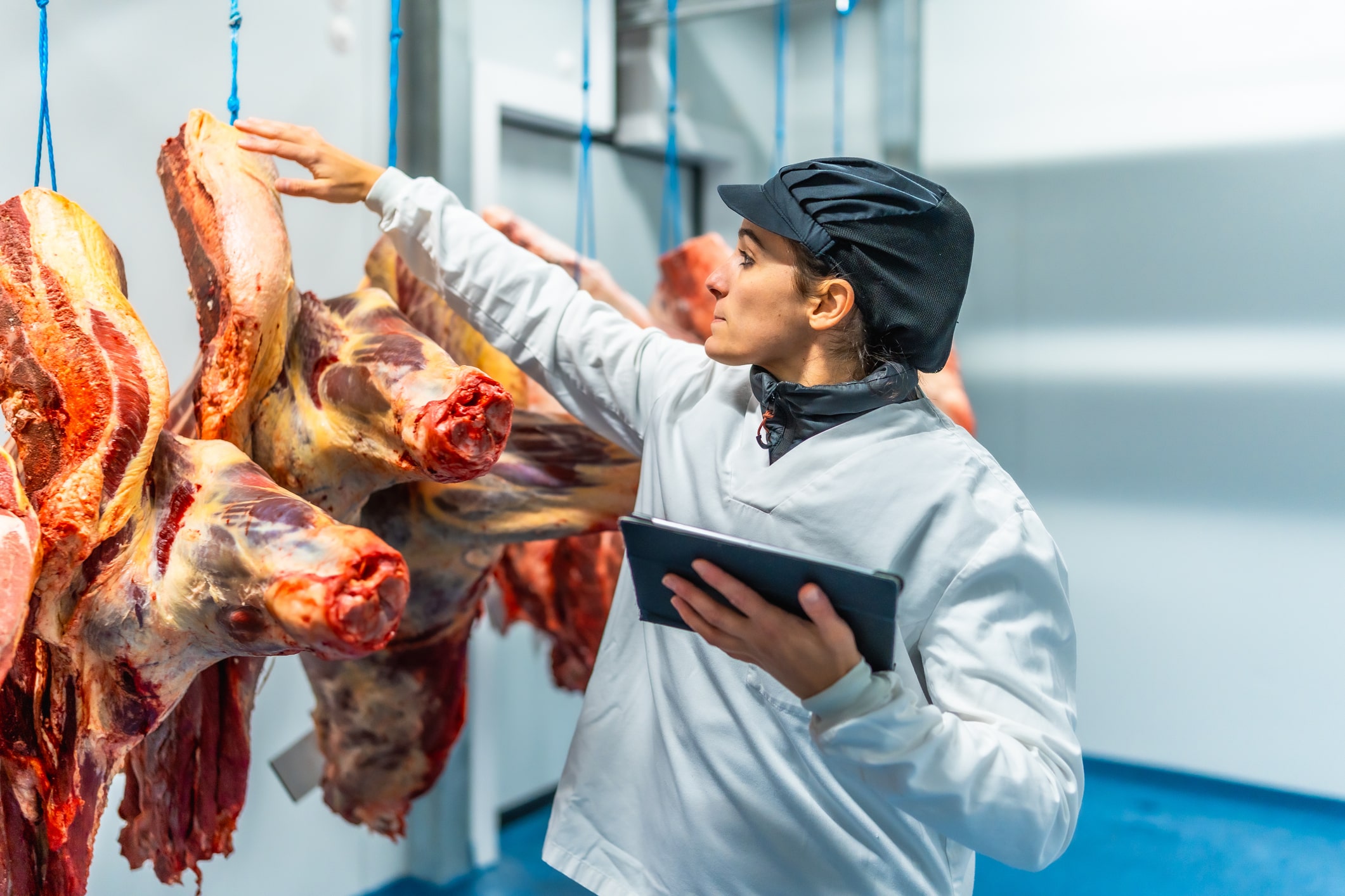 Beyond Food: Where Hawk Safety Monitoring Makes a Difference